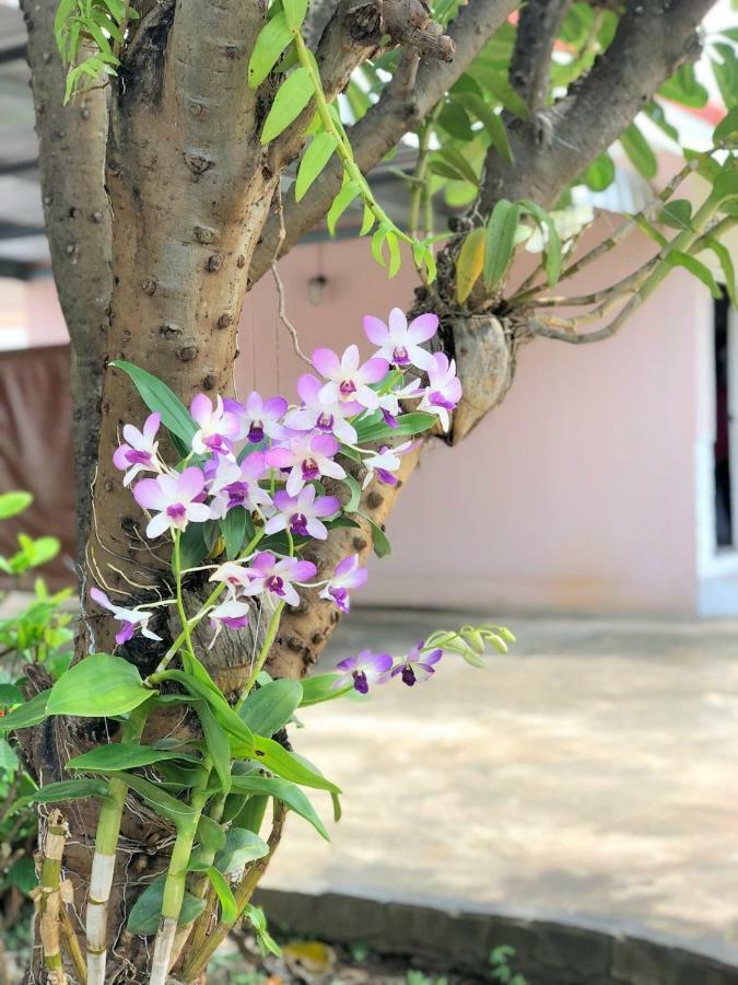 Soda Resort Kamphaeng Phet Ngoại thất bức ảnh