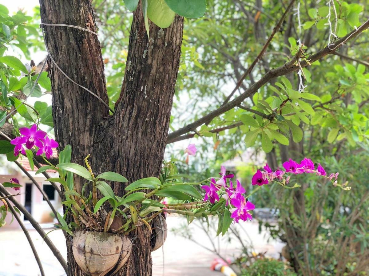Soda Resort Kamphaeng Phet Ngoại thất bức ảnh